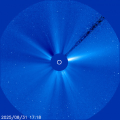Images of the solar corona